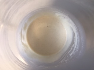 Fonduta di provola
